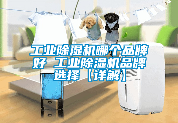 工業91看片网站视频機哪個品牌好 工業91看片网站视频機品牌選擇【詳解】