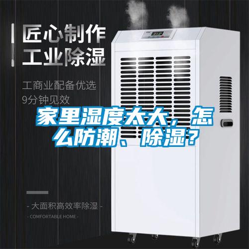 家裏濕度太大，怎麽防潮、91看片网站视频？