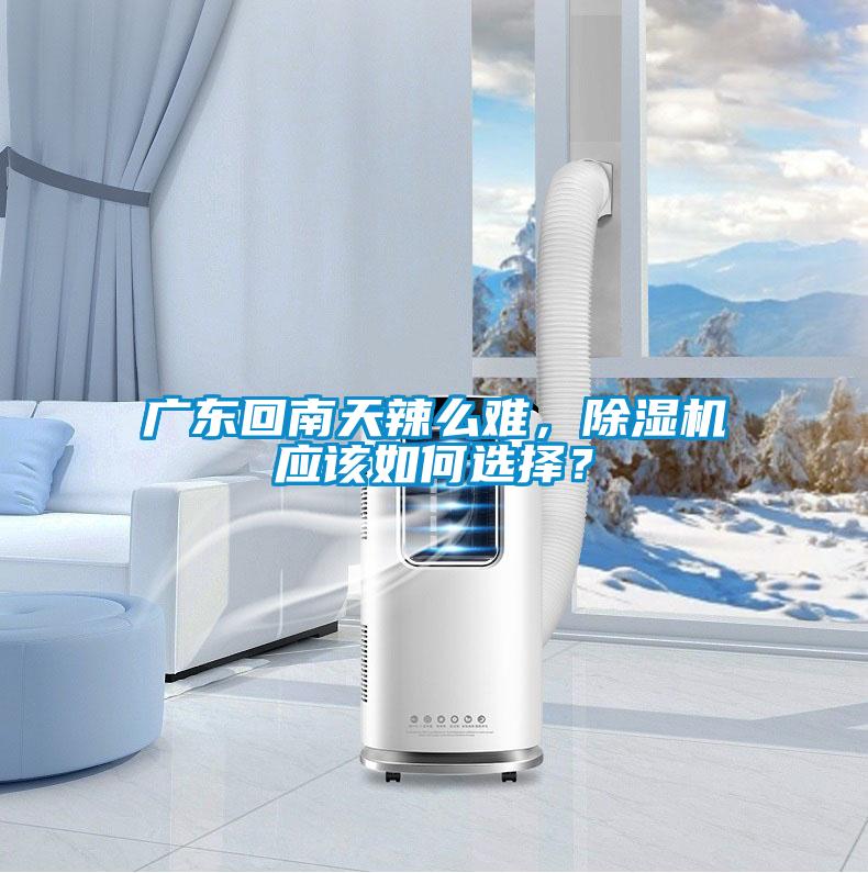 廣東回南天辣麽難，91看片网站视频機應該如何選擇？