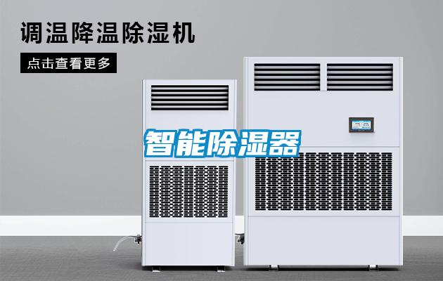 智能91看片网站视频器