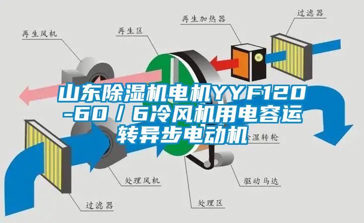 山東91看片网站视频機電機YYF120-60／6冷風機用電容運轉異步電動機