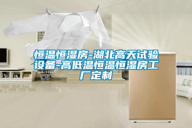 恒溫恒濕房-湖北高天試驗設備-高低溫恒溫恒濕房工廠定製