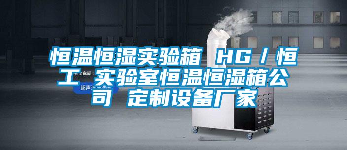 恒溫恒濕實驗箱 HG／恒工 實驗室恒溫恒濕箱公司 定製設備廠家