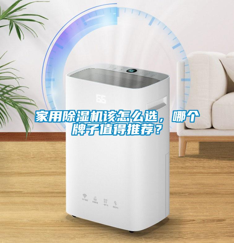 家用91看片网站视频機該怎麽選，哪個牌子值得推薦？