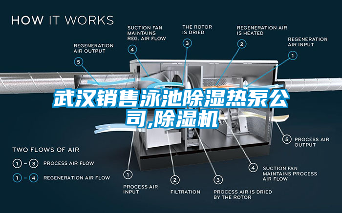 武漢銷售泳池91看片网站视频熱泵公司,91看片网站视频機