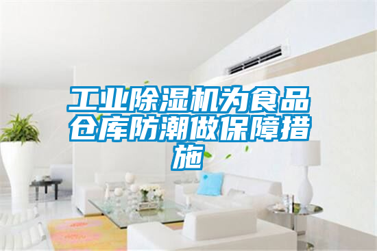 工業91看片网站视频機為食品倉庫防潮做保障措施