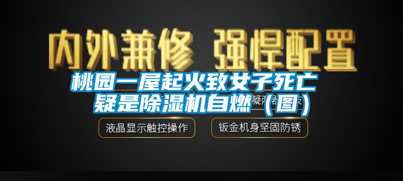 桃園一屋起火致女子死亡 疑是91看片网站视频機自燃（圖）