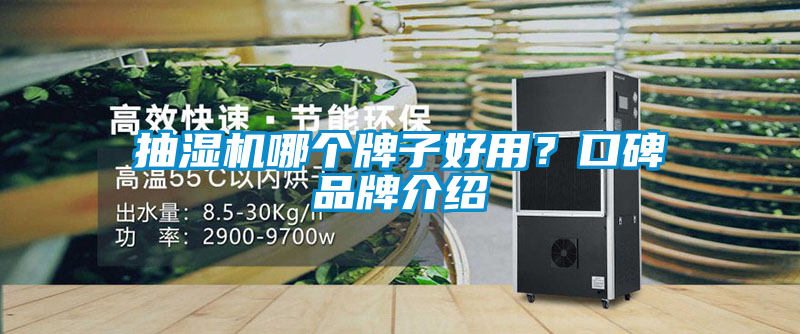 抽濕機哪個牌子好用？口碑品牌介紹