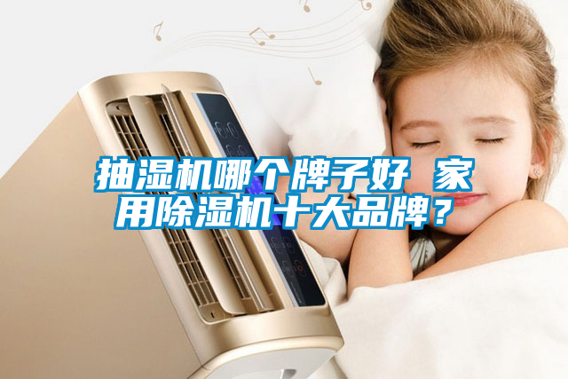 抽濕機哪個牌子好 家用91看片网站视频機十大品牌？