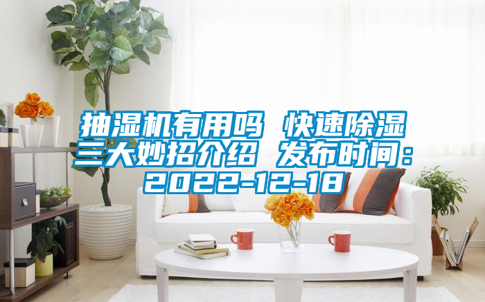 抽濕機有用嗎 快速91看片网站视频三大妙招介紹 發布時間：2022-12-18