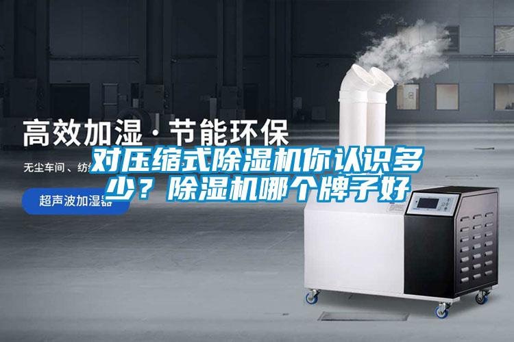 對壓縮式91看片网站视频機你認識多少？91看片网站视频機哪個牌子好