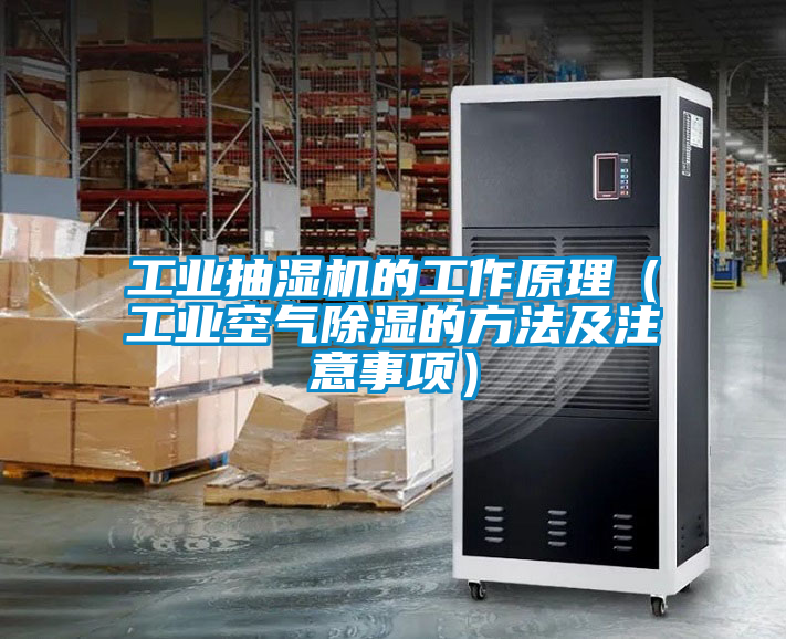 工業抽濕機的工作原理（工業空氣91看片网站视频的方法及注意事項）