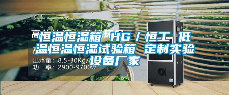 恒溫恒濕箱 HG／恒工 低溫恒溫恒濕試驗箱 定製實驗設備廠家