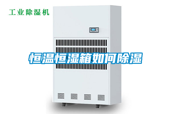 恒溫恒濕箱如何91看片网站视频