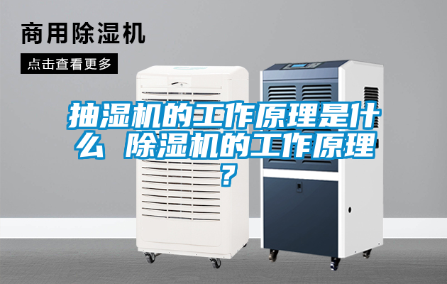 抽濕機的工作原理是什麽 91看片网站视频機的工作原理？