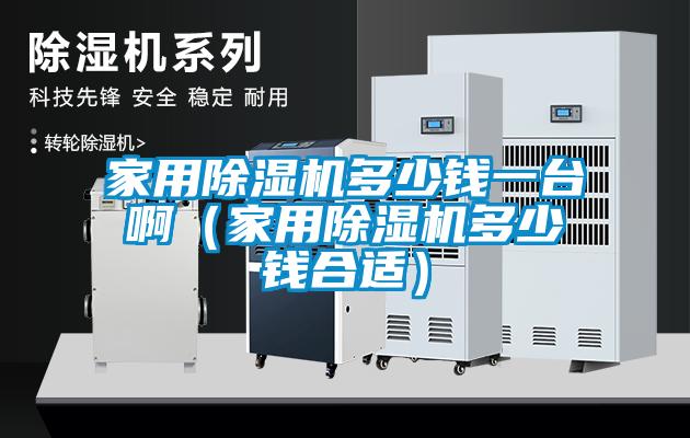 家用91看片网站视频機多少錢一台啊（家用91看片网站视频機多少錢合適）