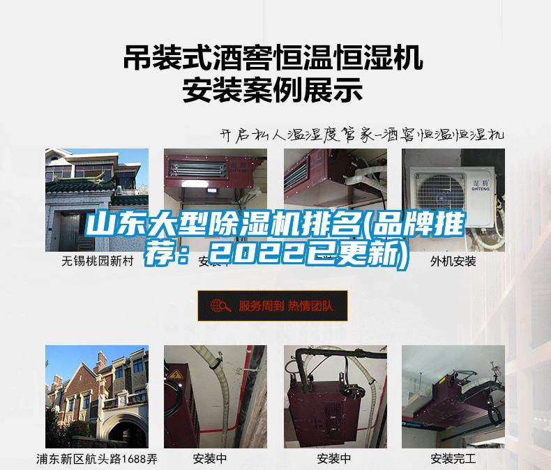 山東大型91看片网站视频機排名(品牌推薦：2022已更新)