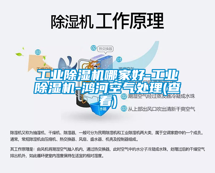 工業91看片网站视频機哪家好-工業91看片网站视频機-鴻河空氣處理(查看)