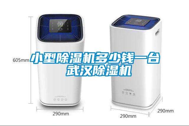 小型91看片网站视频機多少錢一台 武漢91看片网站视频機