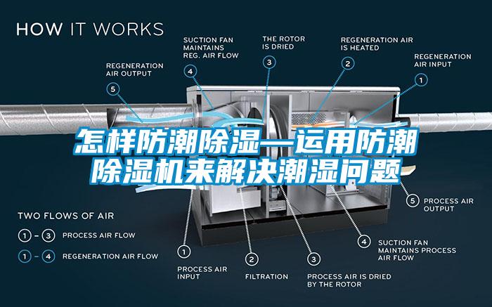 怎樣防潮91看片网站视频—運用防潮91看片网站视频機來解決潮濕問題