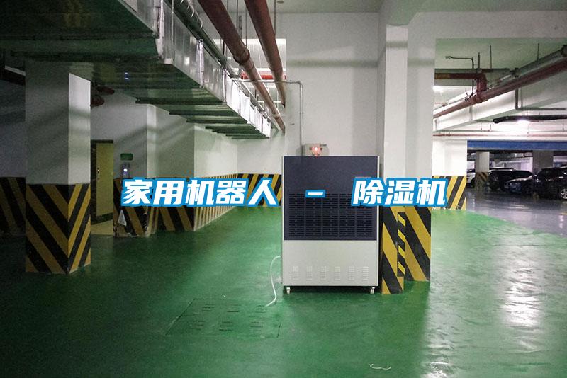 家用機器人 – 91看片网站视频機