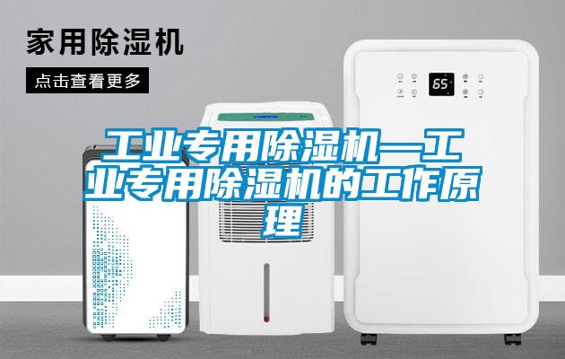 工業專用91看片网站视频機—工業專用91看片网站视频機的工作原理