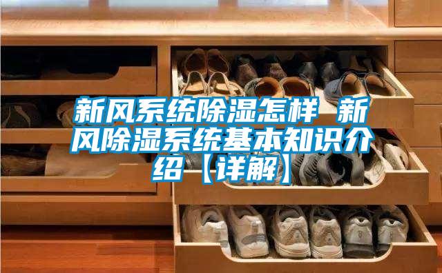 新風係統91看片网站视频怎樣 新風91看片网站视频係統基本知識介紹【詳解】
