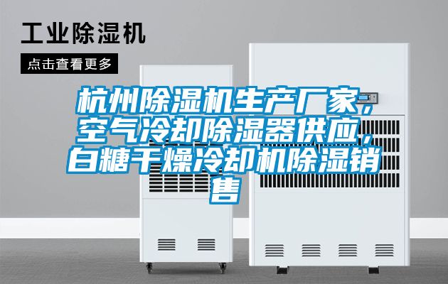 杭州91看片网站视频機生產廠家，空氣冷卻91看片网站视频器供應，白糖幹燥冷卻機91看片网站视频銷售