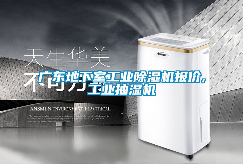廣東地下室工業91看片网站视频機報價,工業抽濕機