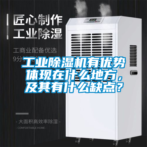 工業91看片网站视频機有優勢體現在什麽地方，及其有什麽缺點？