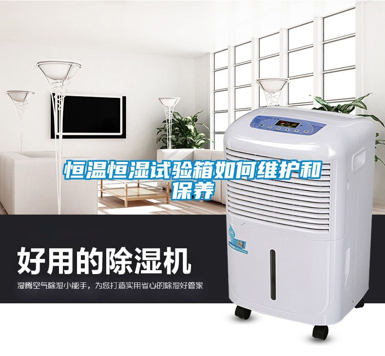 恒溫恒濕試驗箱如何維護和保養