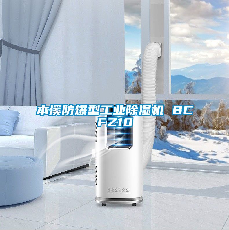 本溪防爆型工業91看片网站视频機 BCFZ10