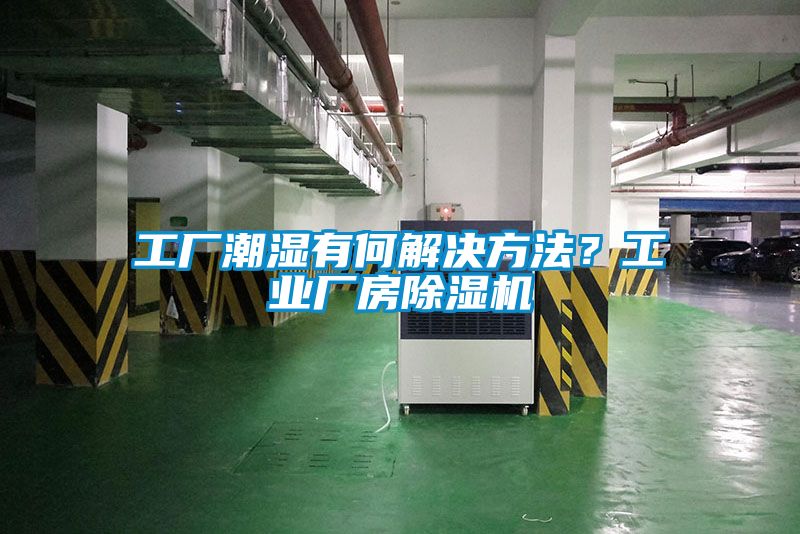 工廠潮濕有何解決方法？工業廠房91看片网站视频機