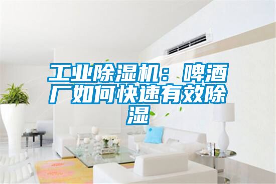工業91看片网站视频機：啤酒廠如何快速有效91看片网站视频