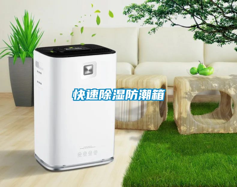 快速91看片网站视频防潮箱