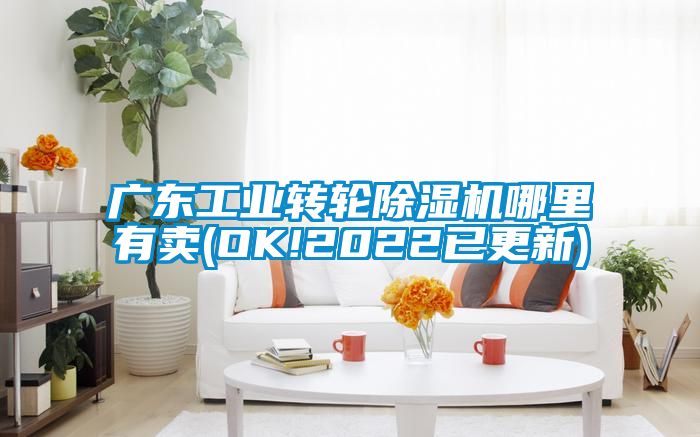 廣東工業轉輪91看片网站视频機哪裏有賣(OK!2022已更新)