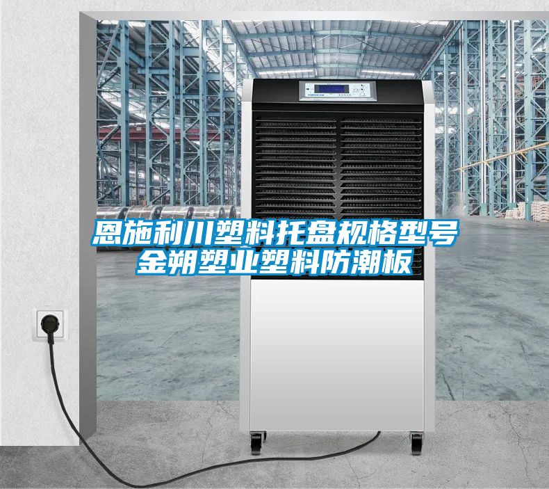 恩施利川塑料托盤規格型號金朔塑業塑料防潮板
