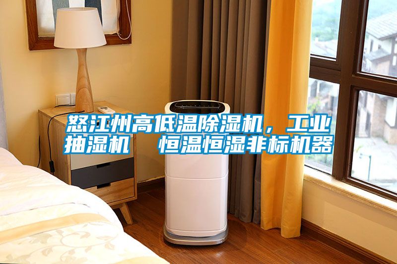 怒江州高低溫91看片网站视频機，工業抽濕機  恒溫恒濕非標機器