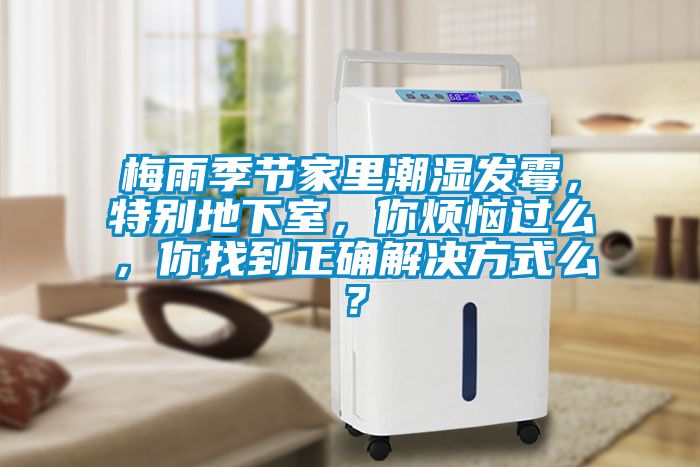 梅雨季節家裏潮濕發黴，特別地下室，你煩惱過麽，你找到正確解決方式麽？