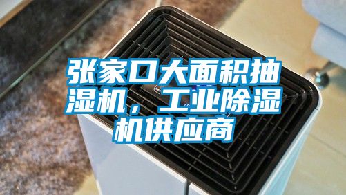 張家口大麵積抽濕機，工業91看片网站视频機供應商