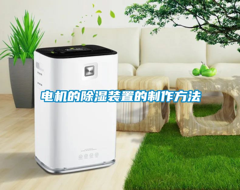 電機的91看片网站视频裝置的製作方法