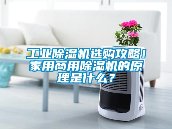 工業91看片网站视频機選購攻略！家用商用91看片网站视频機的原理是什麽？