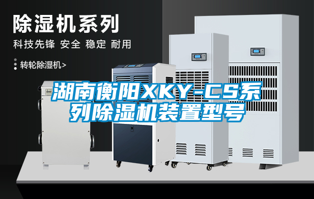 湖南衡陽XKY-CS係列91看片网站视频機裝置型號