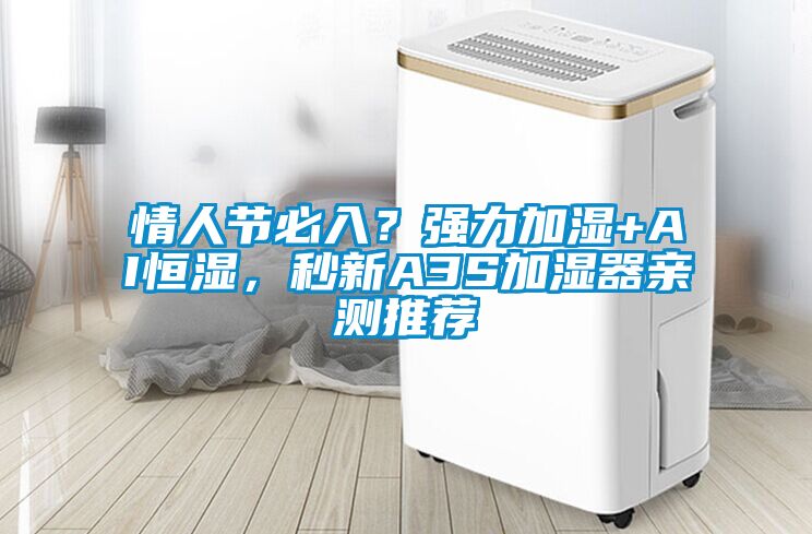 情人節必入？強力加濕+AI恒濕，秒新A3S加濕器親測推薦