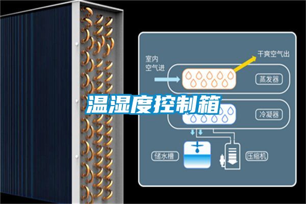 溫濕度控製箱