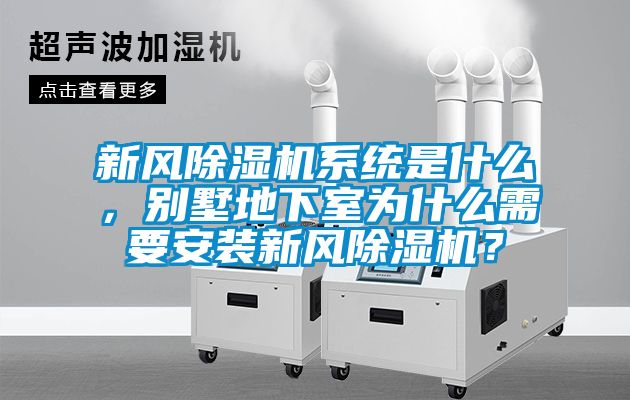 新風91看片网站视频機係統是什麽，別墅地下室為什麽需要安裝新風91看片网站视频機？