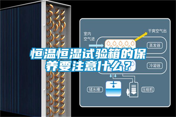 恒溫恒濕試驗箱的保養要注意什麽？