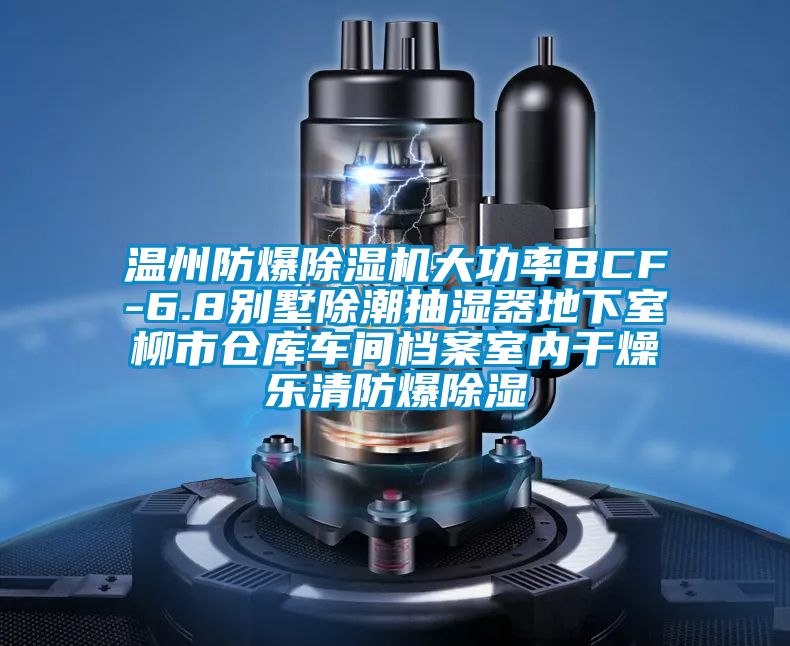 溫州防爆91看片网站视频機大功率BCF-6.8別墅除潮抽濕器地下室柳市倉庫車間檔案室內幹燥樂清防爆91看片网站视频