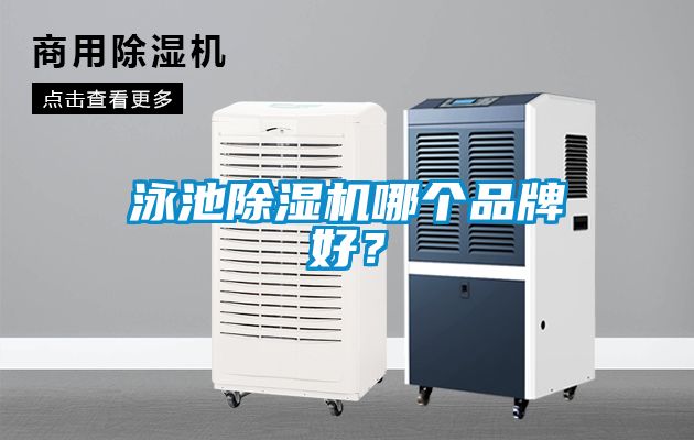 泳池91看片网站视频機哪個品牌好？