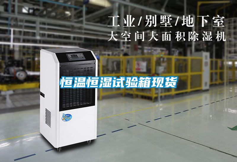 恒溫恒濕試驗箱現貨